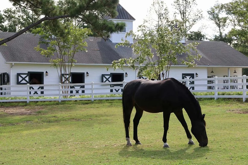 Picture of Jean Muggli's property Sycamore Bend Plantation